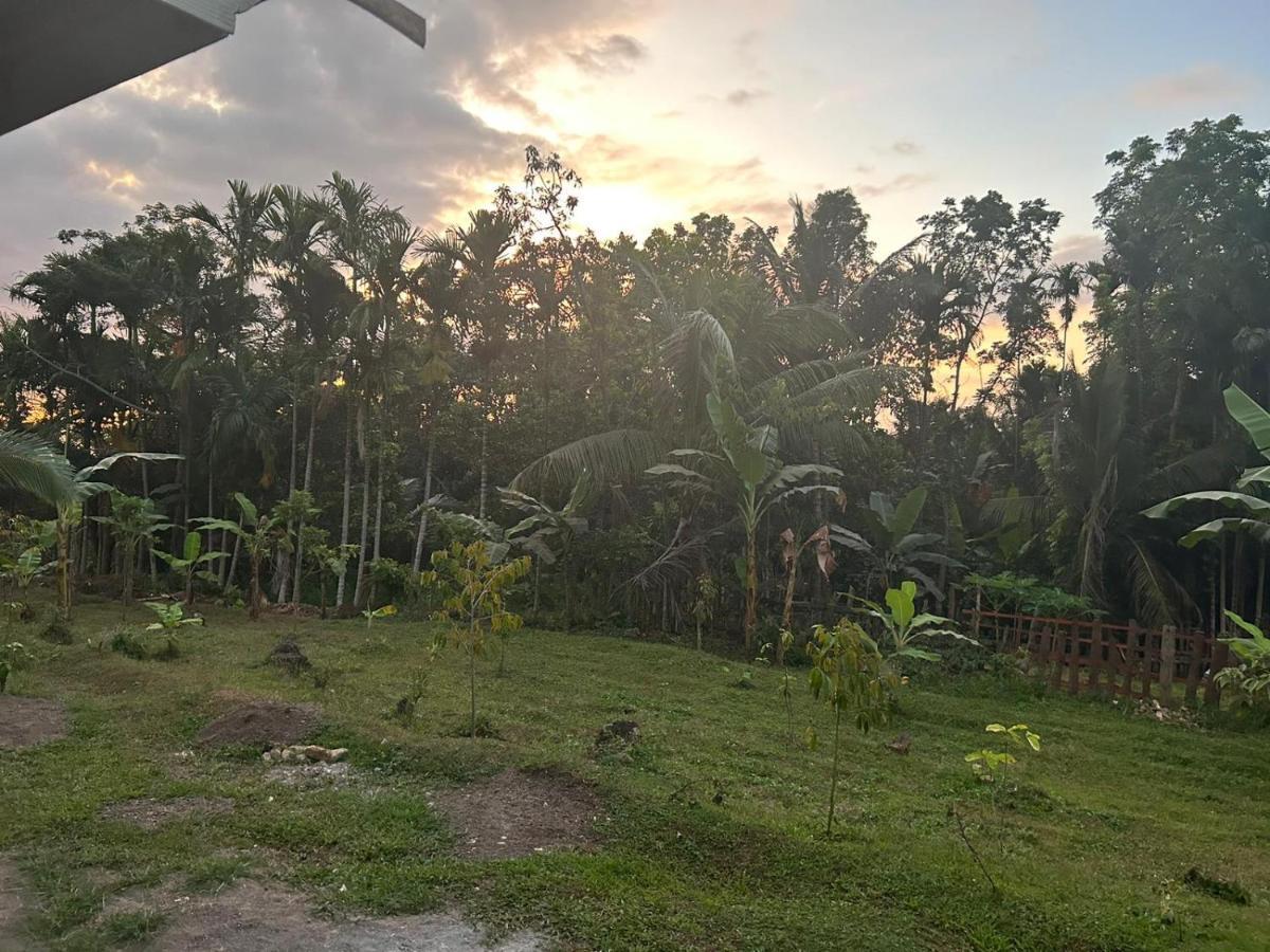 Senaru Garden Homestay Exterior foto
